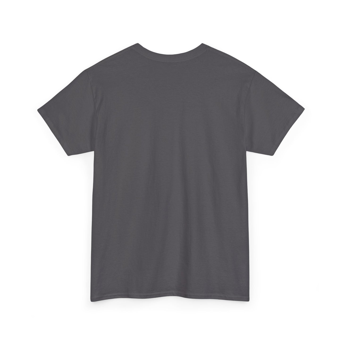 SYSTEM INTERFACE Climbing Tee — Unisex Cotton Tee