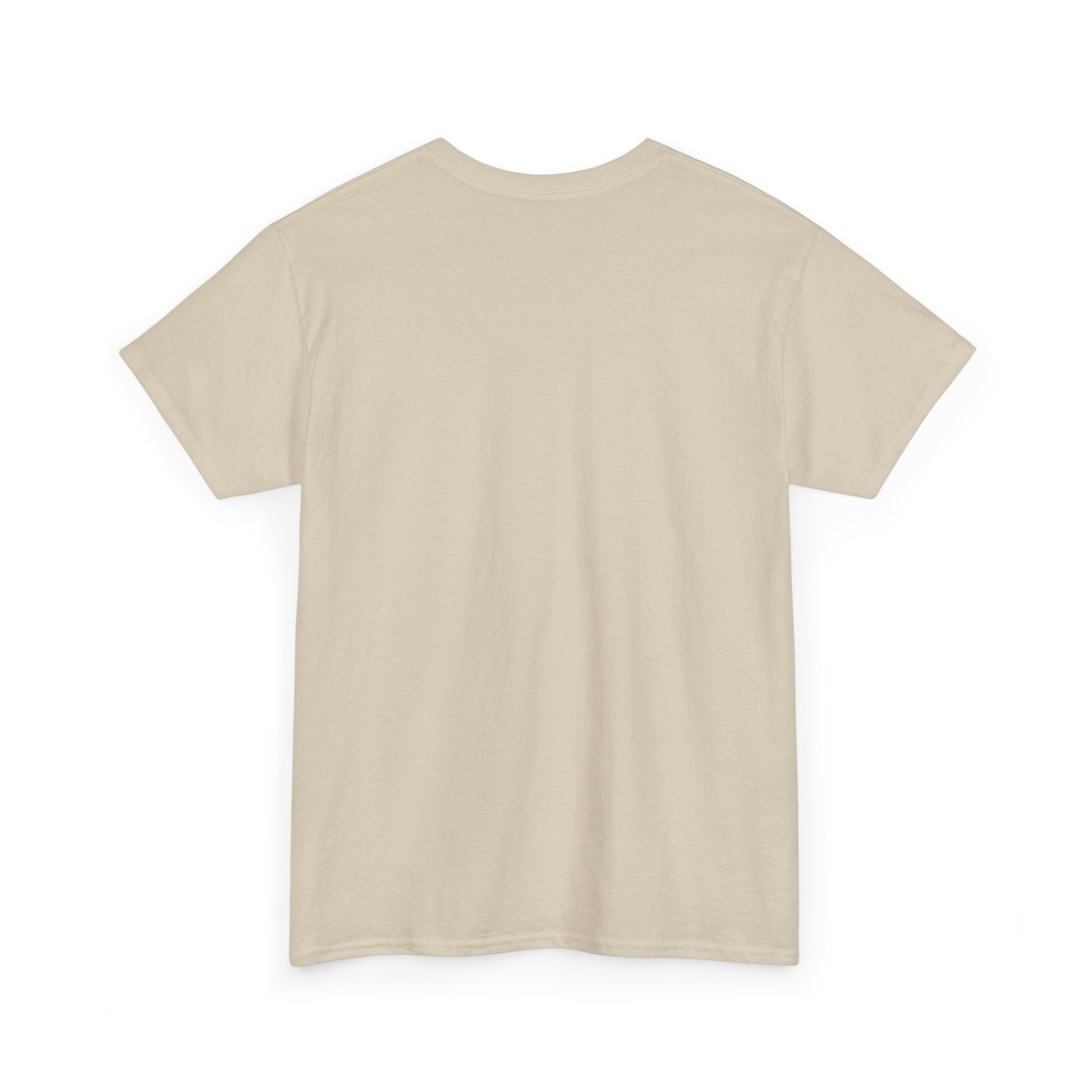 SYSTEM INTERFACE Climbing Tee — Unisex Cotton Tee