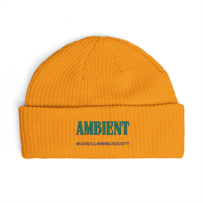 AMBIENT BSC Climbing Beanie — Embroidered Knit Beanie