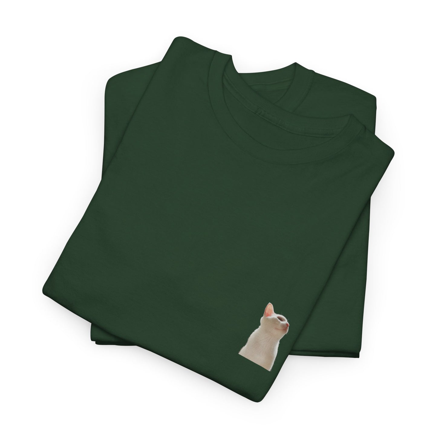 JUPITER'S ASCENT Climbing Tee — Unisex Cotton T-Shirt