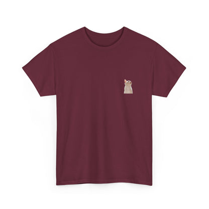 JUPITER'S ASCENT Climbing Tee — Unisex Cotton T-Shirt