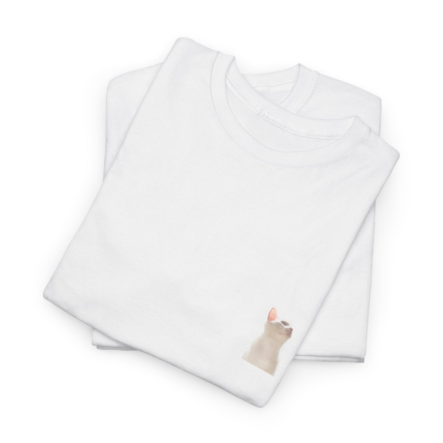 JUPITER'S ASCENT Climbing Tee — Unisex Cotton T-Shirt